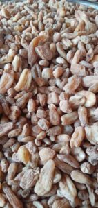 بيع السحلب المصري بالجملة