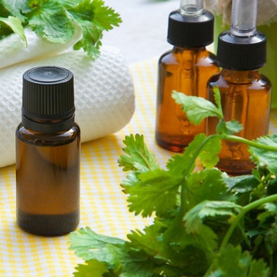 Coriander oil Export of Herb essential oil - Maleki Commercial Co.