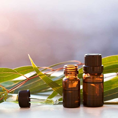 Eucalyptus oil Export of Herb essential oil - Maleki Commercial Co.