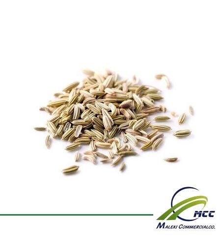 Fennel Export of Herb essential oil - Maleki Commercial Co.
