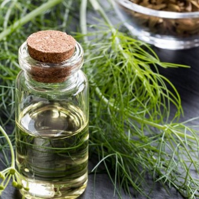 Fennel oil Export of Herb essential oil - Maleki Commercial Co.
