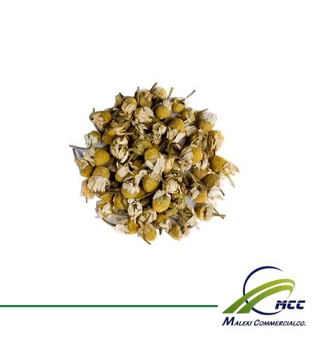 German Chamomile Export of Herb essential oil - Maleki Commercial Co.