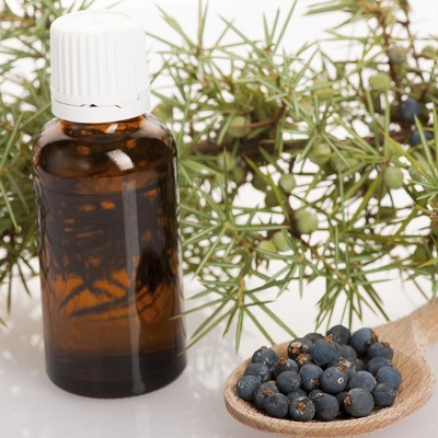 Juniper oil Export of Herb essential oil - Maleki Commercial Co.