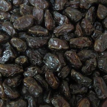 Kabkab date Export of Herb essential oil - Maleki Commercial Co.