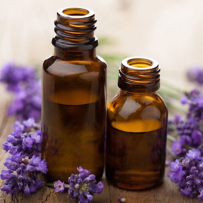 Lavender oil Export of Herb essential oil - Maleki Commercial Co.