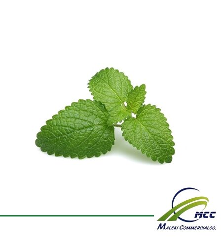 Lemon balm Export of Herb essential oil - Maleki Commercial Co.