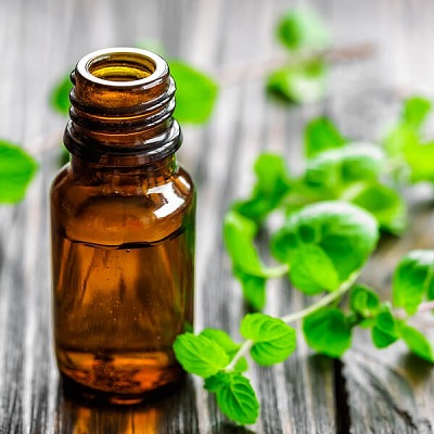 Peppermint Oil Export of Herb essential oil - Maleki Commercial Co.