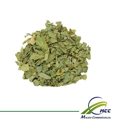Senna Export of Herb essential oil - Maleki Commercial Co.