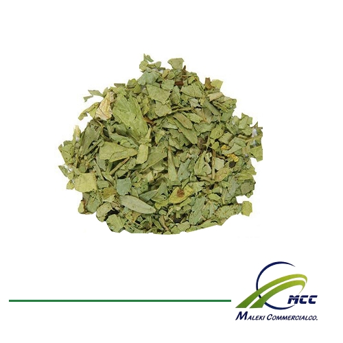 Senna Export of Herb essential oil - Maleki Commercial Co.