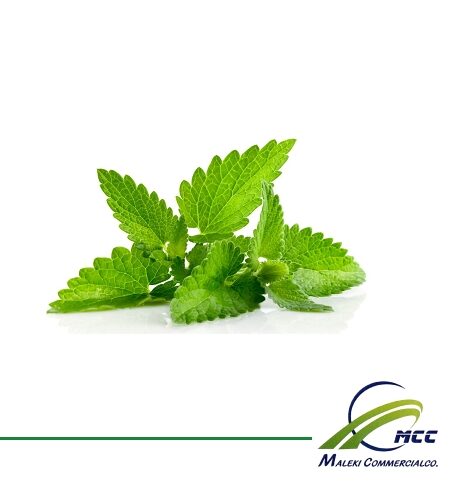 Stevia Export of Herb essential oil - Maleki Commercial Co.