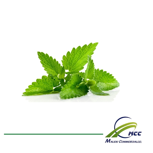 Stevia Export of Herb essential oil - Maleki Commercial Co.