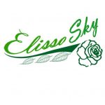 Elisso Sky