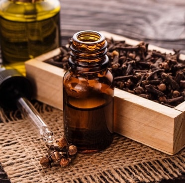 Exports of medicinal herbs