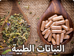 النباتات الطبیة