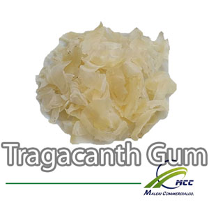 tragacanth