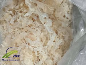 Gond Katira Pure Organic Tragacanth Gum, Supplier Organic Tragacanth Gum, Wholesale Tragacanth Gum