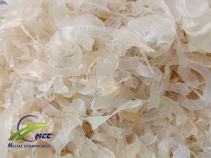 Iranian Tragacanth Gum Exporter, Manufacturer, Trader, Supplier In Iran