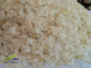 Shop Wholesale Tragacanth Gum ( Gond Katira), wholesale Tragancanth Gum, supplier Tragacanth Gum