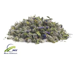 Wholesale Bulk Organic Borago Leaves