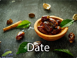 wholesale Date, Bulk Date