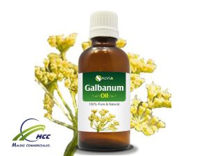 Supplier, Manufacturer, Wholesaler & Exporter 100%Pure And Organic Galbanum Essential Oil ( Galbanum Oil)