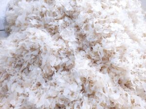 Wholesale (Bulk) Purchase Tragacanth Gum (Gond Katira),Bulk Price Tragacanth Gum (Gond Katira)